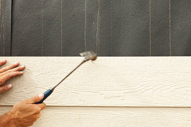 Best Brick Veneer Siding  in Lake City, SC